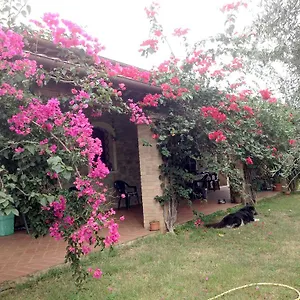 Casa Santina Ferienhaus Girasole